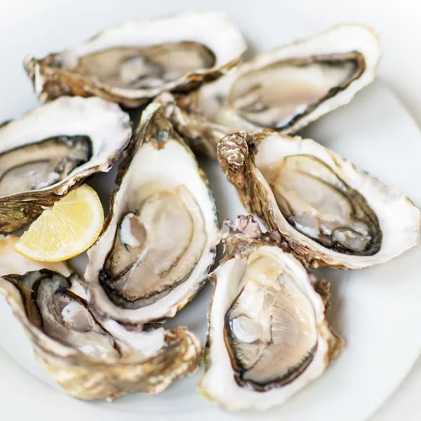 Half Dozen Oysters